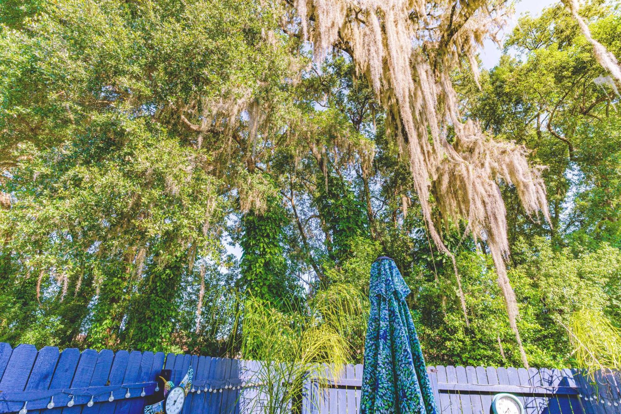 מלון מאונט דורה The Estate At Mt Dora מראה חיצוני תמונה